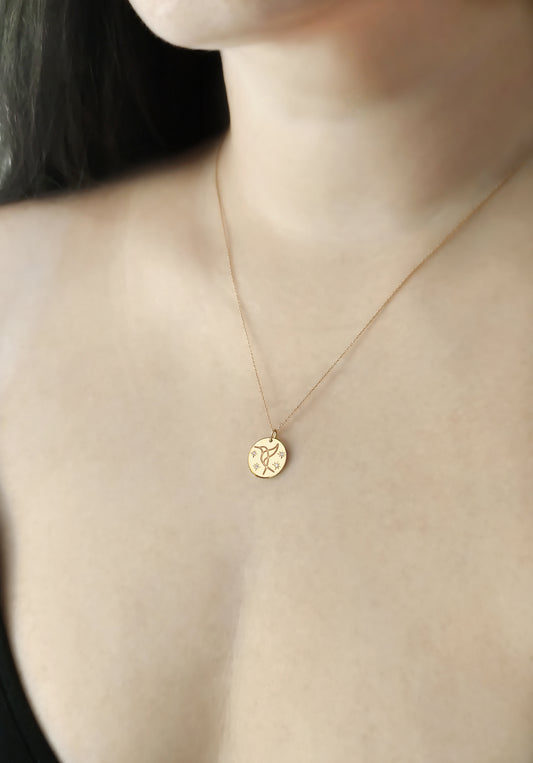female wearing gold necklace with 14mm disc pendant engraved with a hummingbird and set with four white diamonds with a star setting